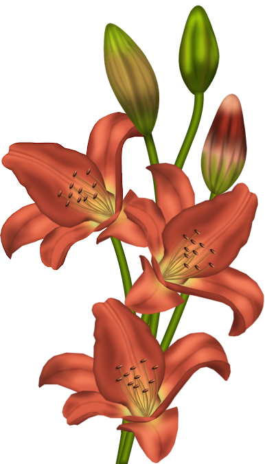 FLEURS 5