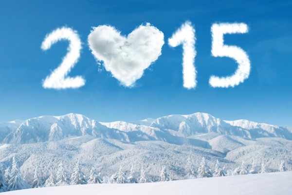 BONNE ANNEE 2015