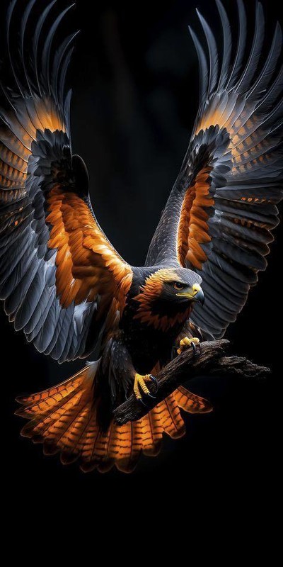 OISEAU 4