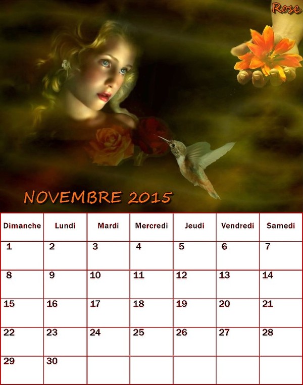 CALENDRIER NOVEMBRE 2015