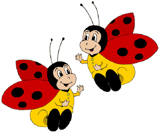 COCCINELLES