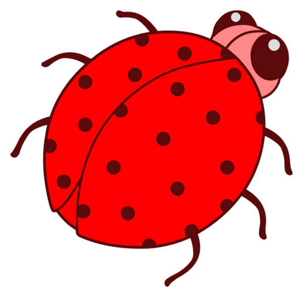 COCCINELLE