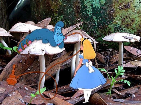 ALICE AU PAYS DES MERVEILLES