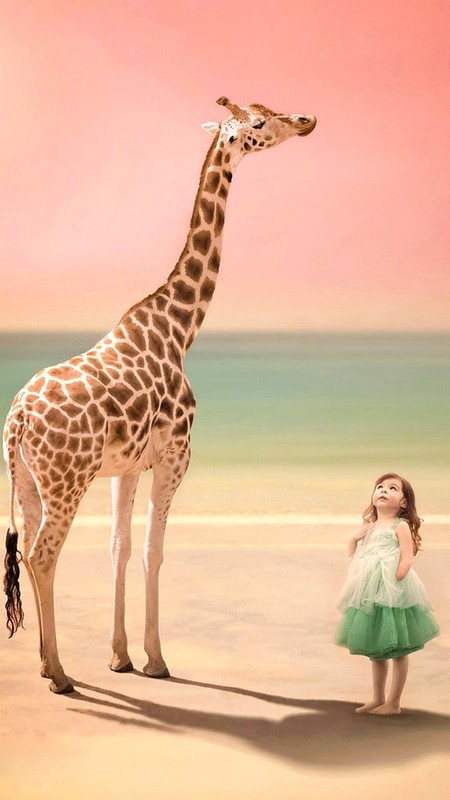 GIRAFE