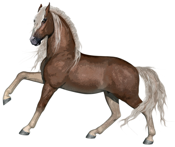 CHEVAL 2