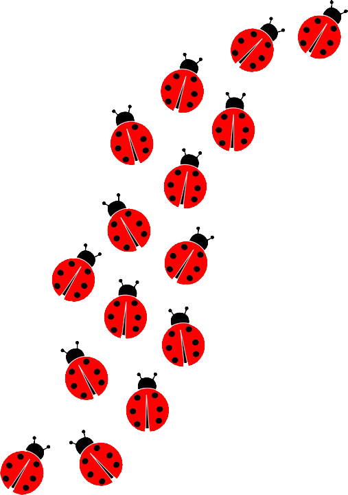 COCCINELLE