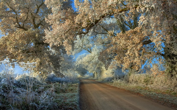 LA ROUTE