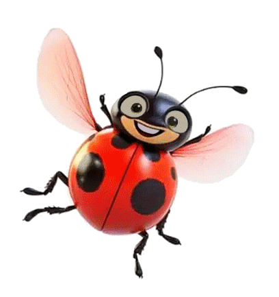 COCCINELLE 3