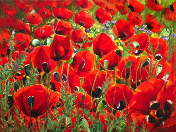 COQUELICOTS