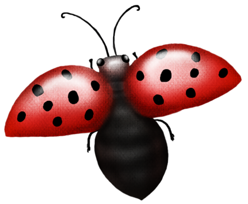 COCCINELLE 2