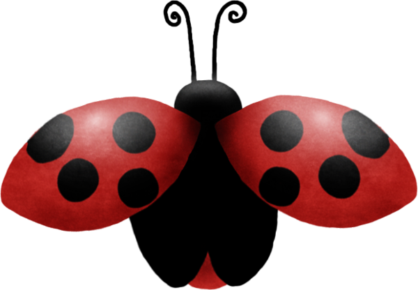 COCCINELLE