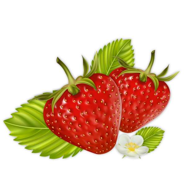 LES FRAISES