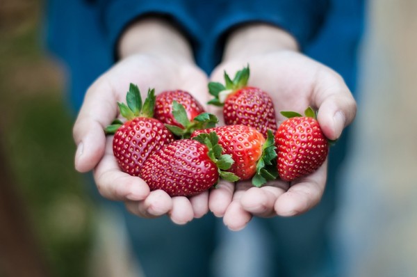 LES FRAISES