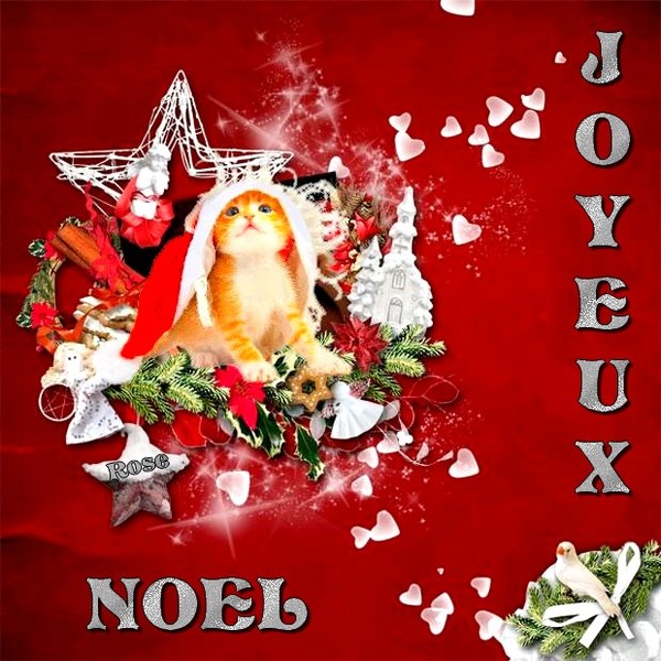 NOEL