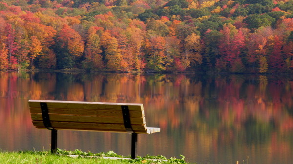 LE BANC