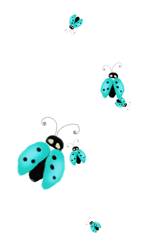 COCCINELLE 2