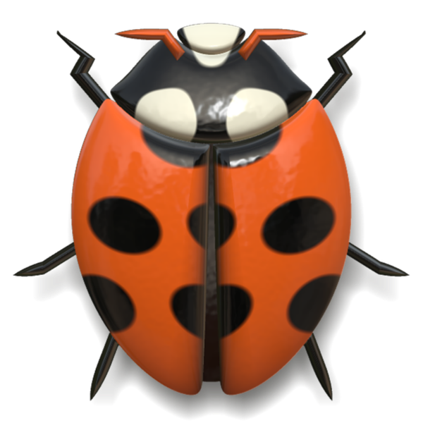 COCCINELLE 2