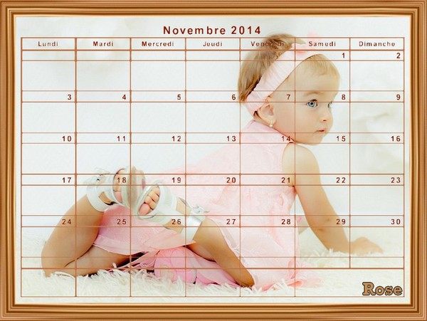 CALENDRIER NOVEMBRE 2014