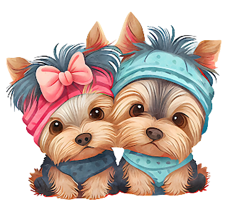 CHIEN 5