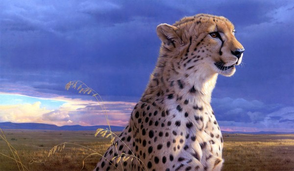 GUEPARD