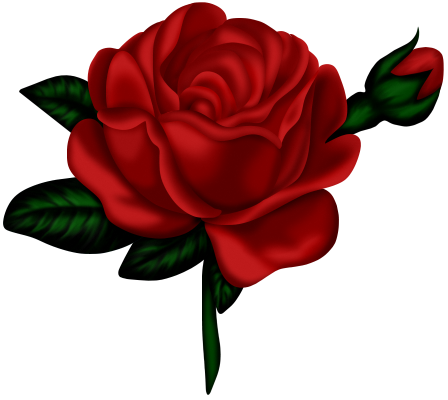 ROSE 2