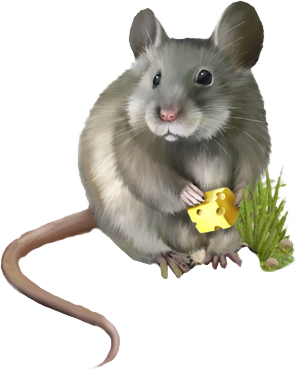 RAT 2