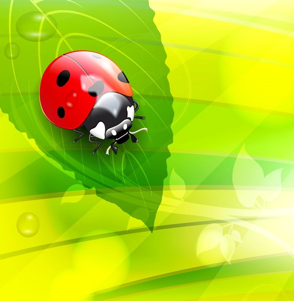 COCCINELLE