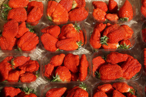 LES FRAISES