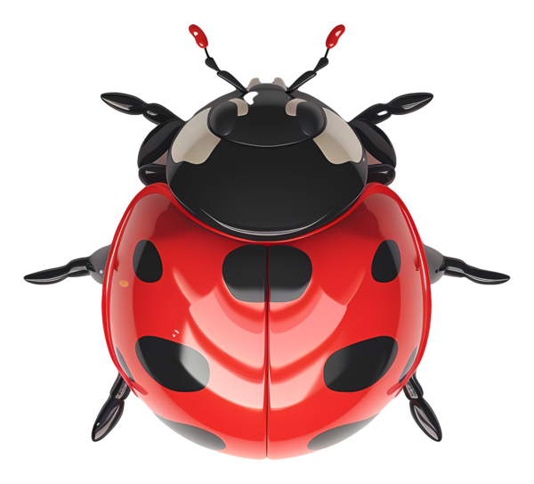 COCCINELLE 3