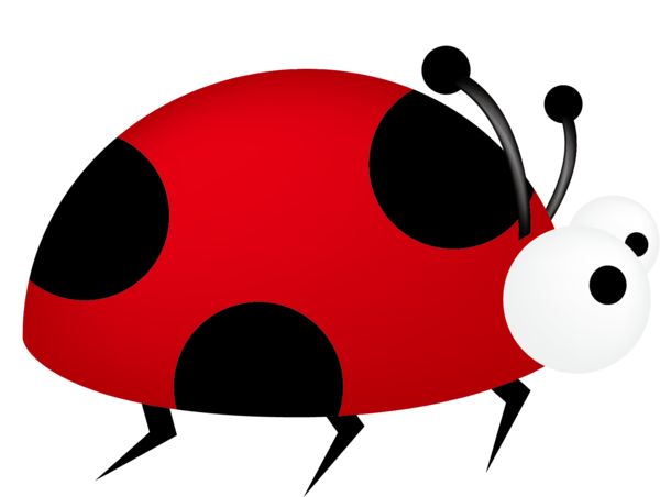 COCCINELLE 2