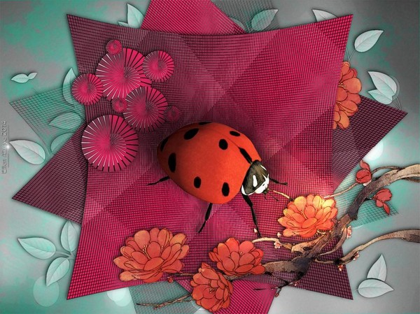 COCCINELLE