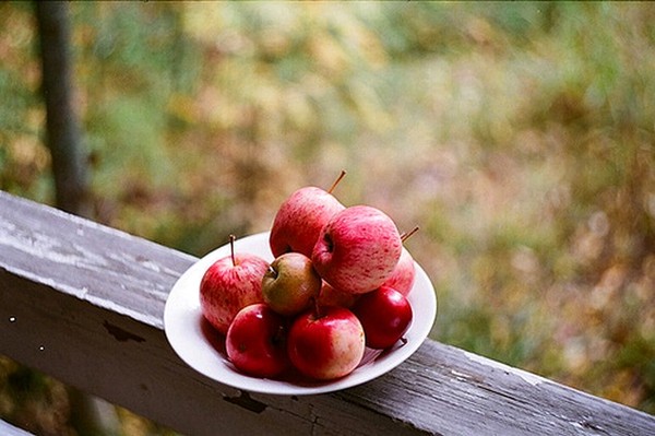 LES POMMES