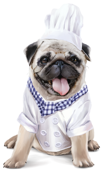 CHIEN 5