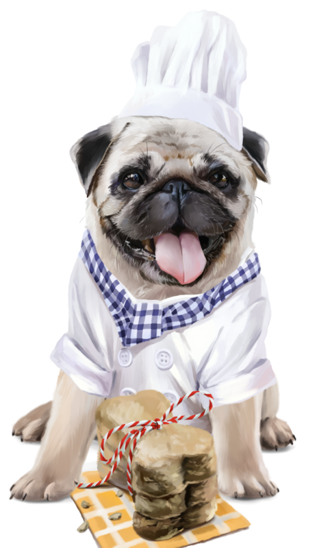 CHIEN 5