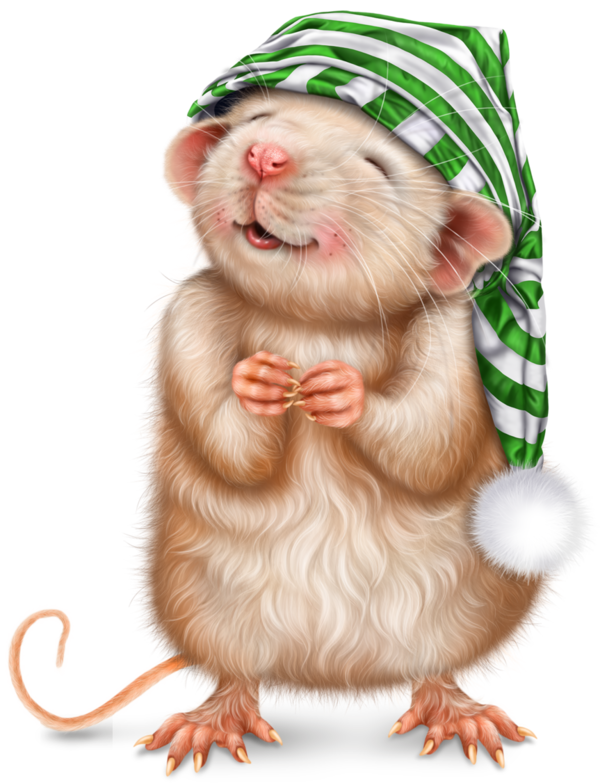 SOURIS RAT HAMSTER... 2