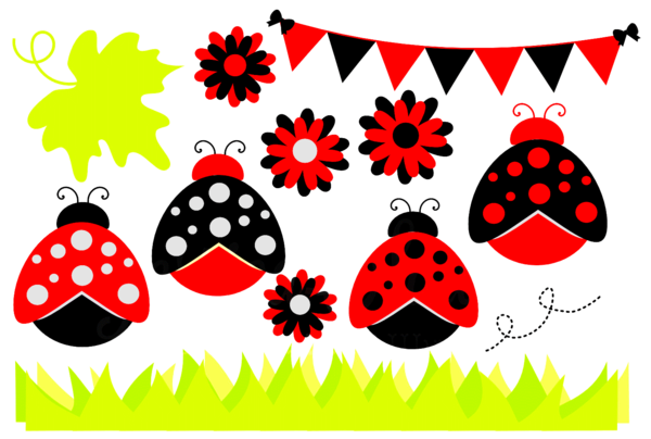 COCCINELLES