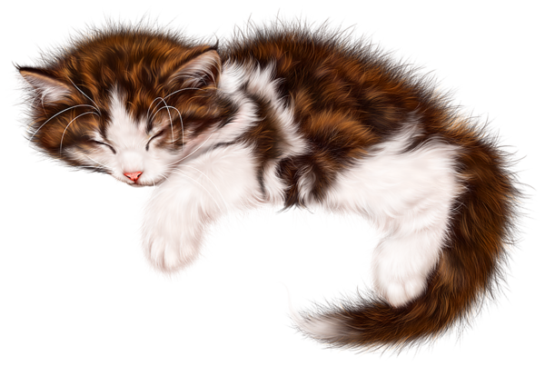 CHAT 7