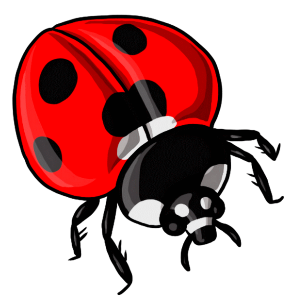 COCCINELLE