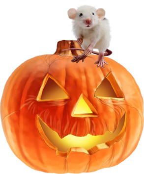 TUBE HALLOWEEN ANIMAUX