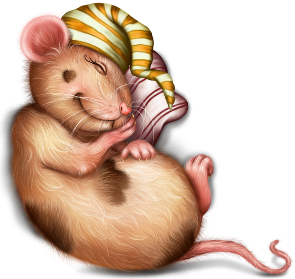 SOURIS RAT HAMSTER... 2