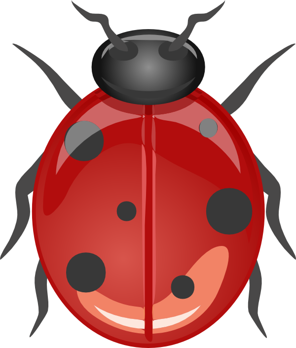 COCCINELLE