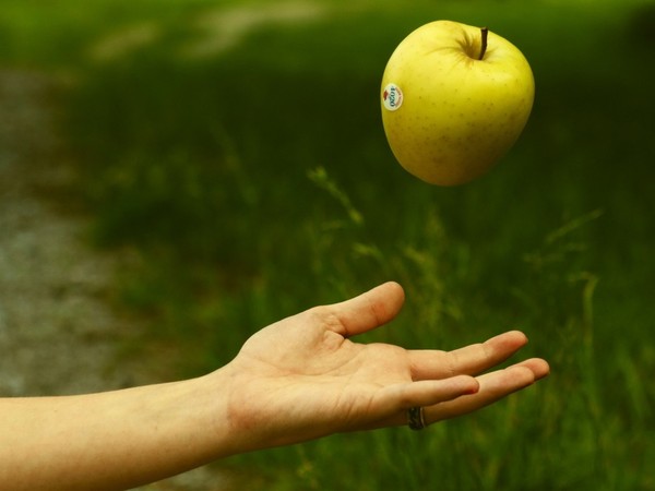 LA POMME