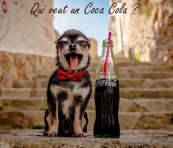 UN COCA ?