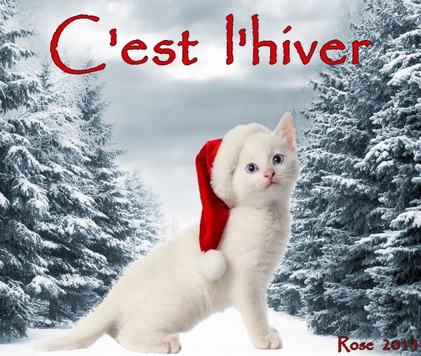 C'EST L'HIVER