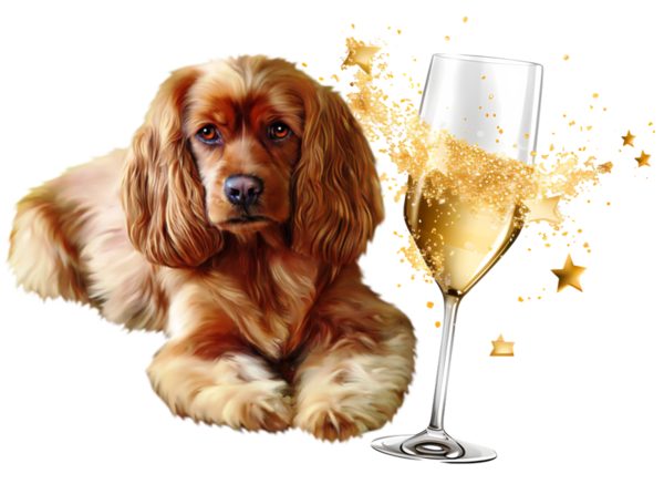 TUBE BONNE ANNEE ANIMAUX