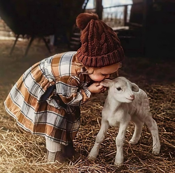 VACHE VEAU MOUTON...