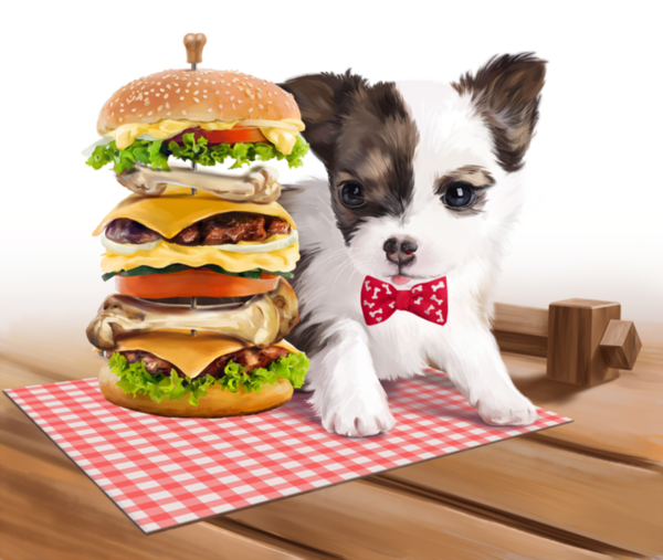 CHIEN 5
