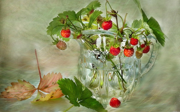 LES FRAISES