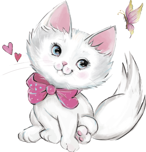CHAT 7