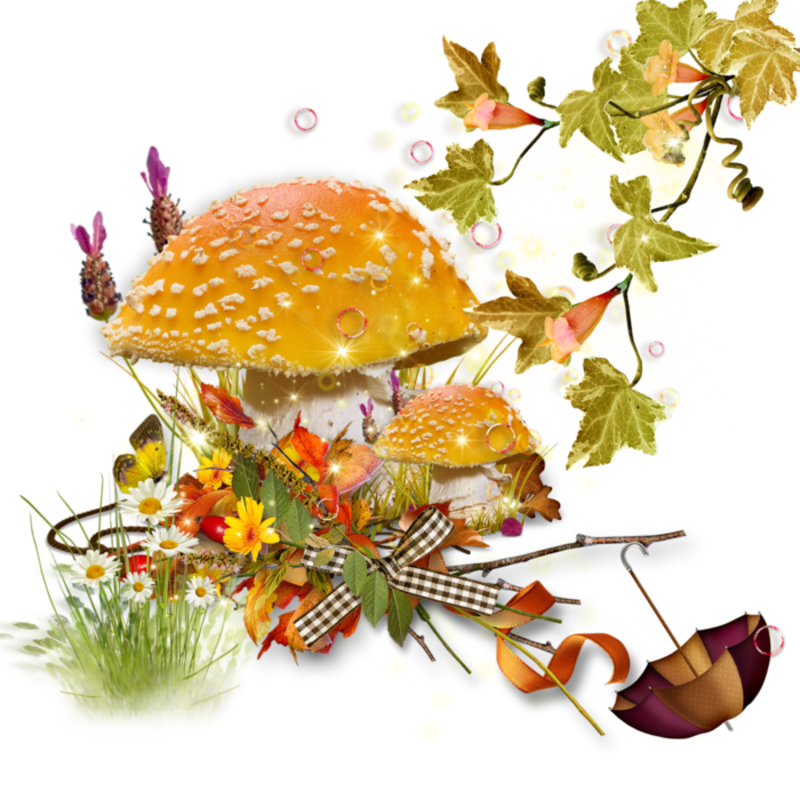 91701835_mushroom_11.png